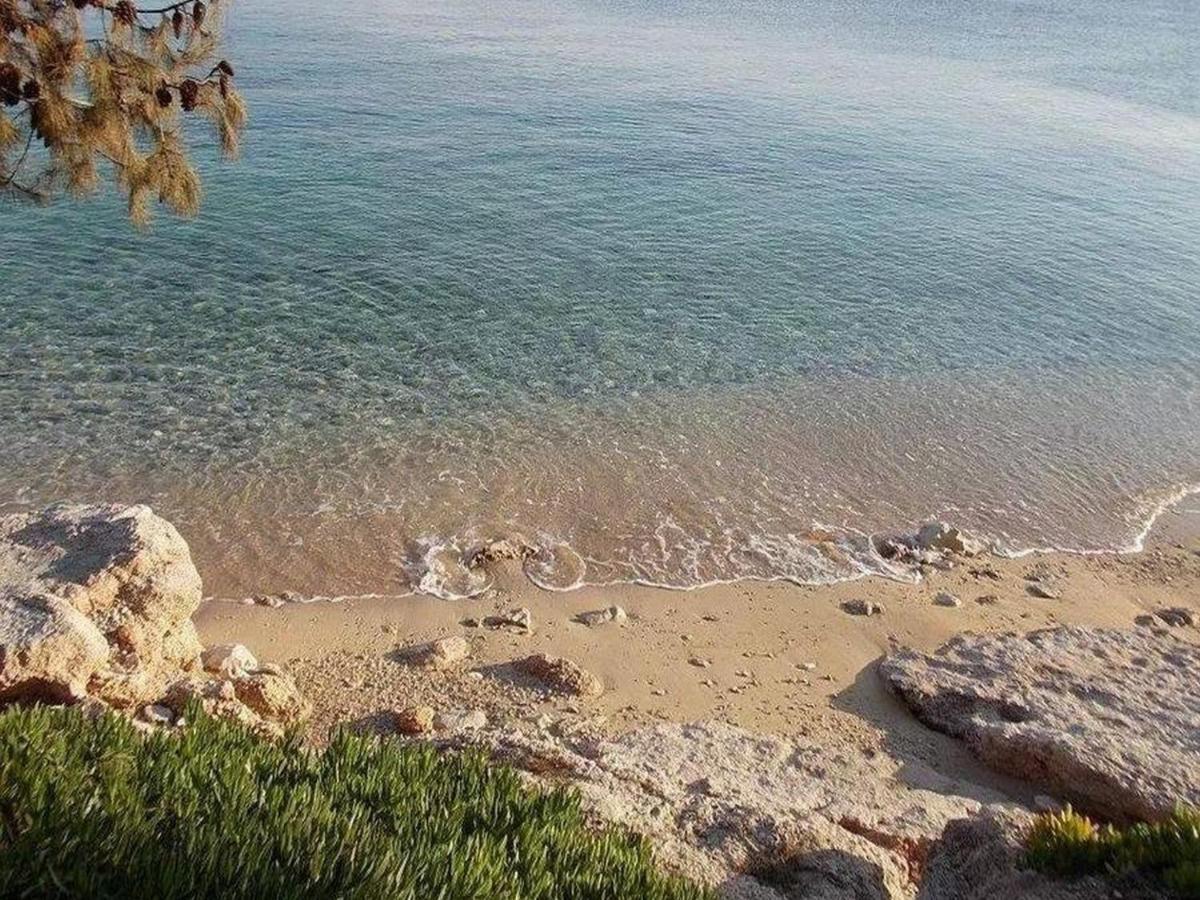 Apartman Dobrila Jelsa (Hvar)